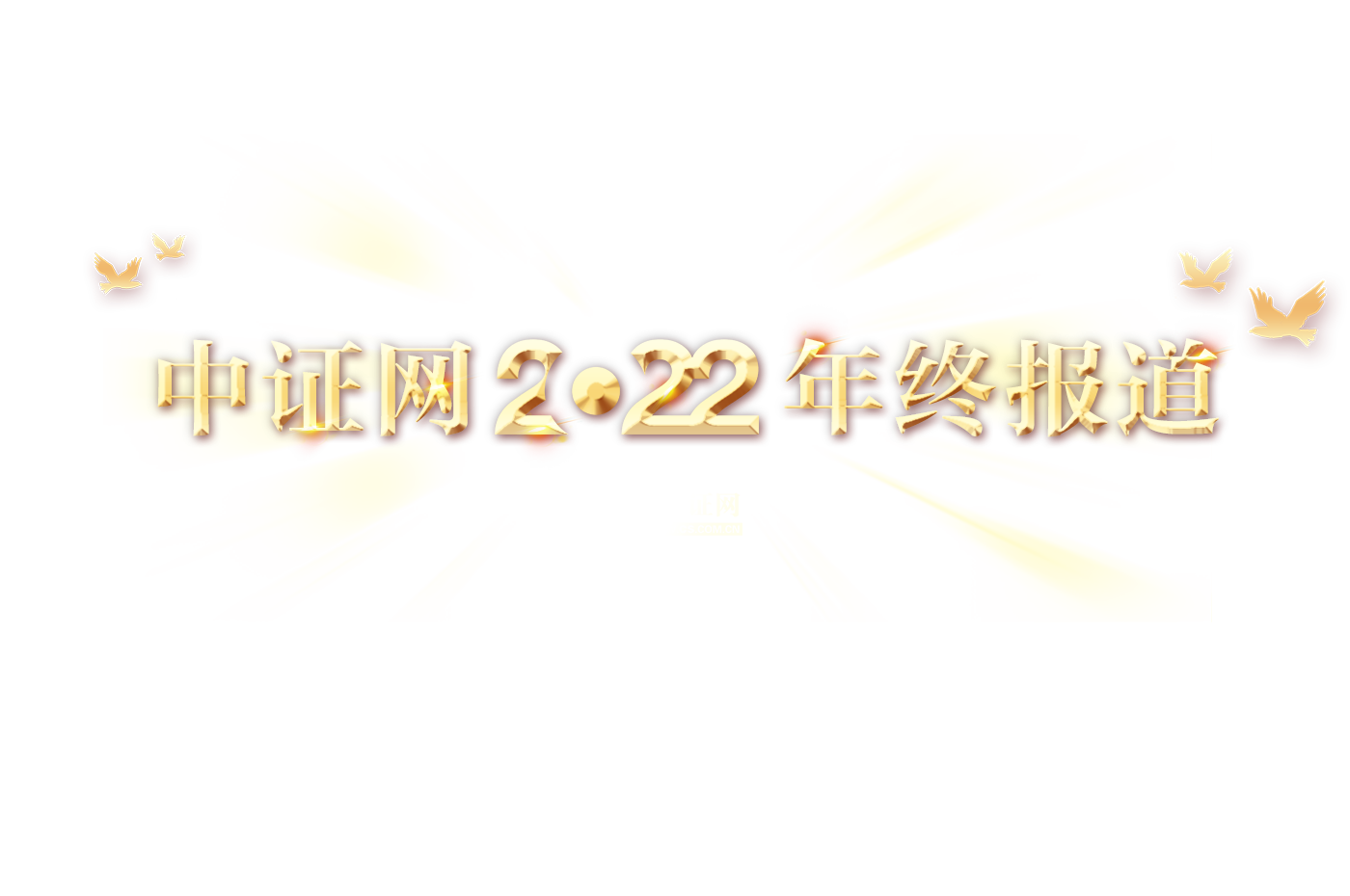中證網2022年終報道