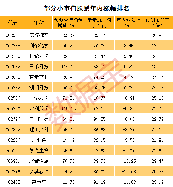 陳見南1_副本