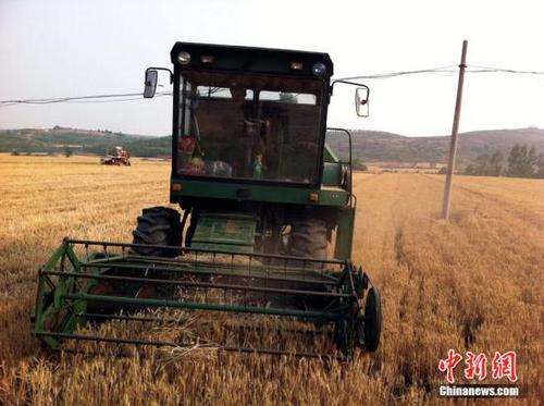今年全國夏糧產量為歷史第二高位為何豐收又增收?