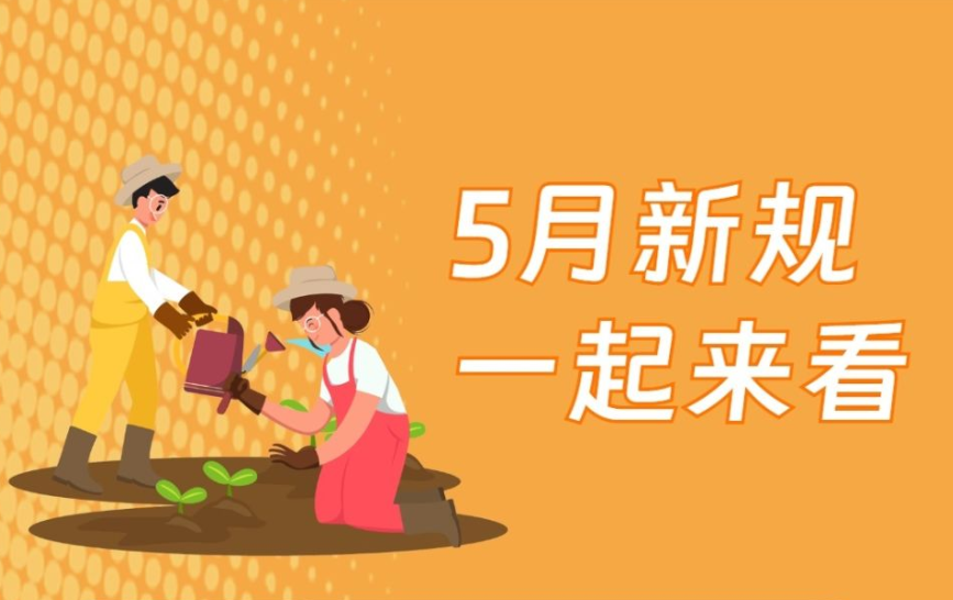 20dd76ba-e55e-4eec-98a5-272e5de8cdb3.png