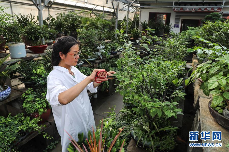 (走向我們的小康生活·圖文互動)(5)水清岸美產業興——江蘇南通小康路上的綠色實踐